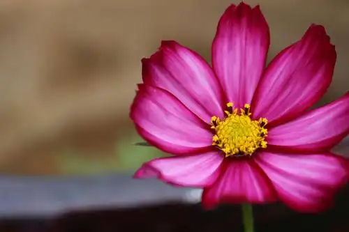 第一次作业景深运用