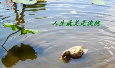 淡然的图片带字配图,淡然一笑图片带字_大山谷图库