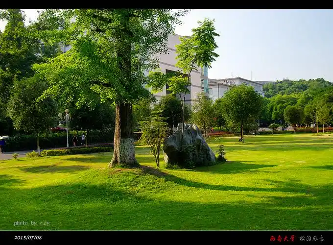 有你的四季无需远行(西南大学校园风景) - 自然摄影