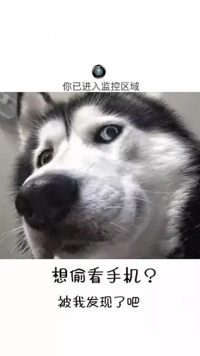 趣味沙雕壁纸卡通