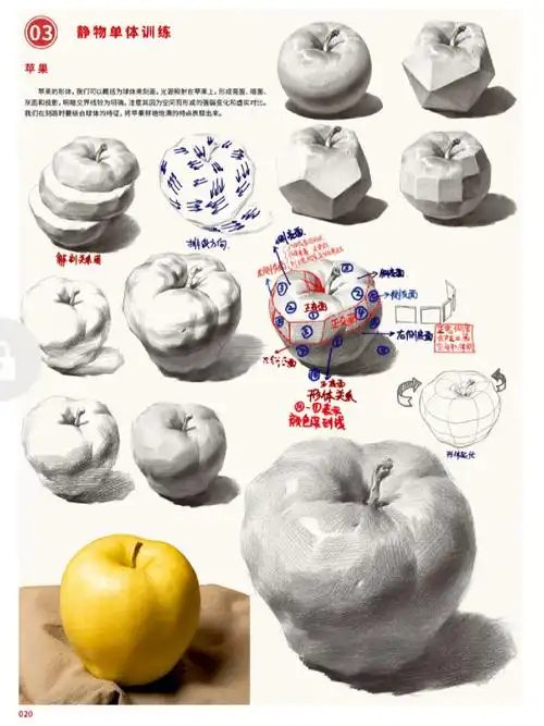 素描静物单体解刨与训练高清课件