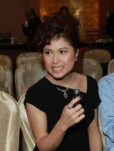 与郑伊健相守7年,被梁咏琪横刀夺爱,如今住上亿豪宅却过得凄凉_邵美琪