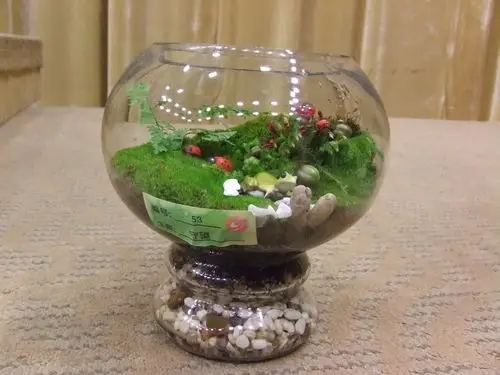 三明编办--苔藓微景观作品欣赏