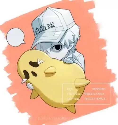 工作细胞-白细胞