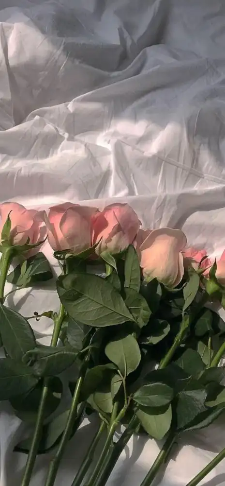 杯喔人物壁纸/锁屏壁纸/拼接壁纸ins 摄影写真/港风小清新/聊天背景图