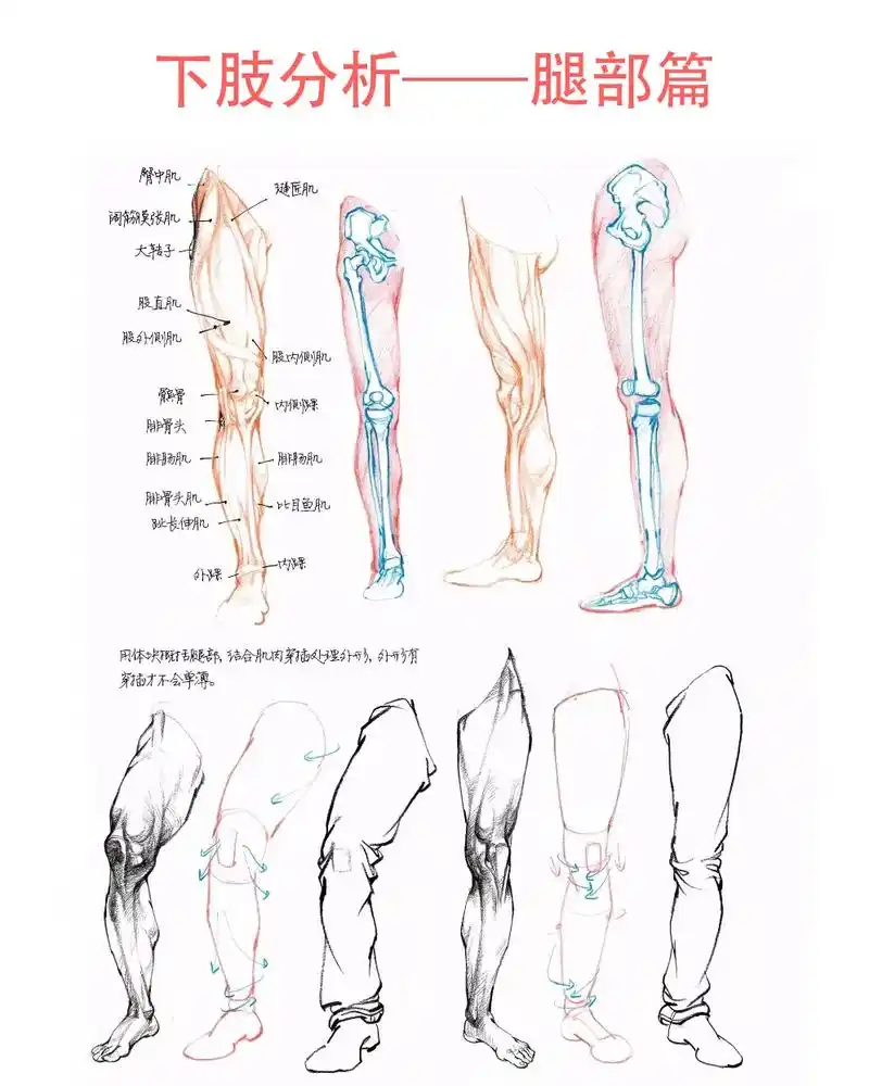 速写人物腿部衣纹分析#速写人物 # - 抖音