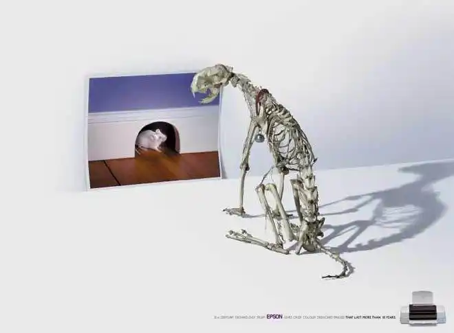 获奖广告创意设计(1)