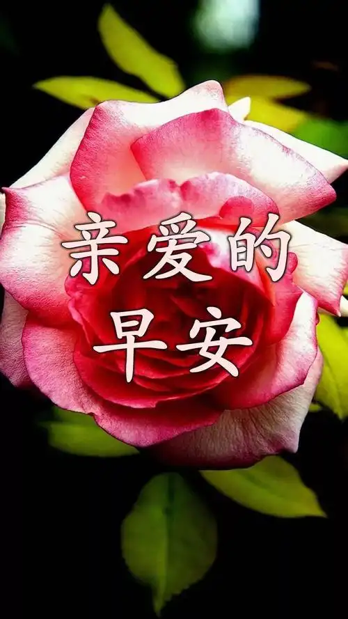 秋季送朋友温馨的问候祝福语句2020早安问候动态图片带字