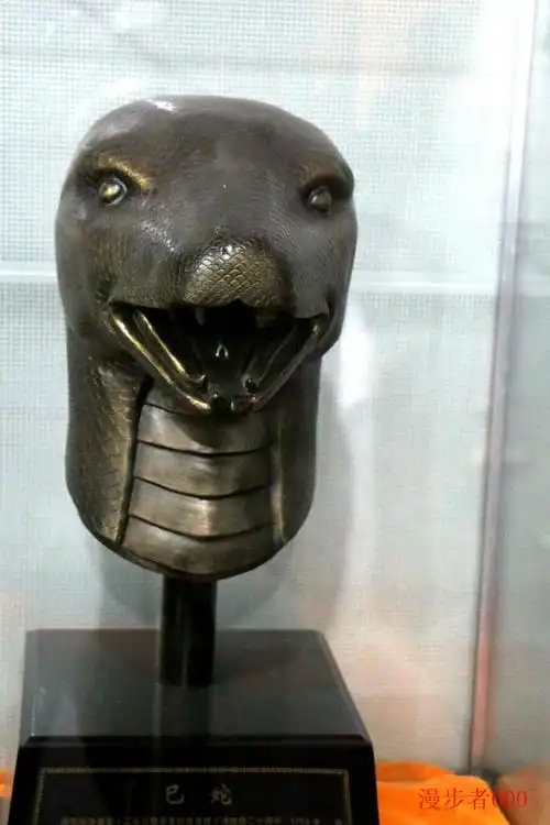 西方也有类似十二属相,哪些国家有生肖?