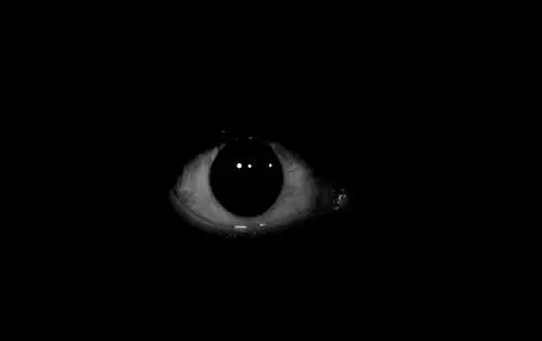 急! 求这个眼睛动态图