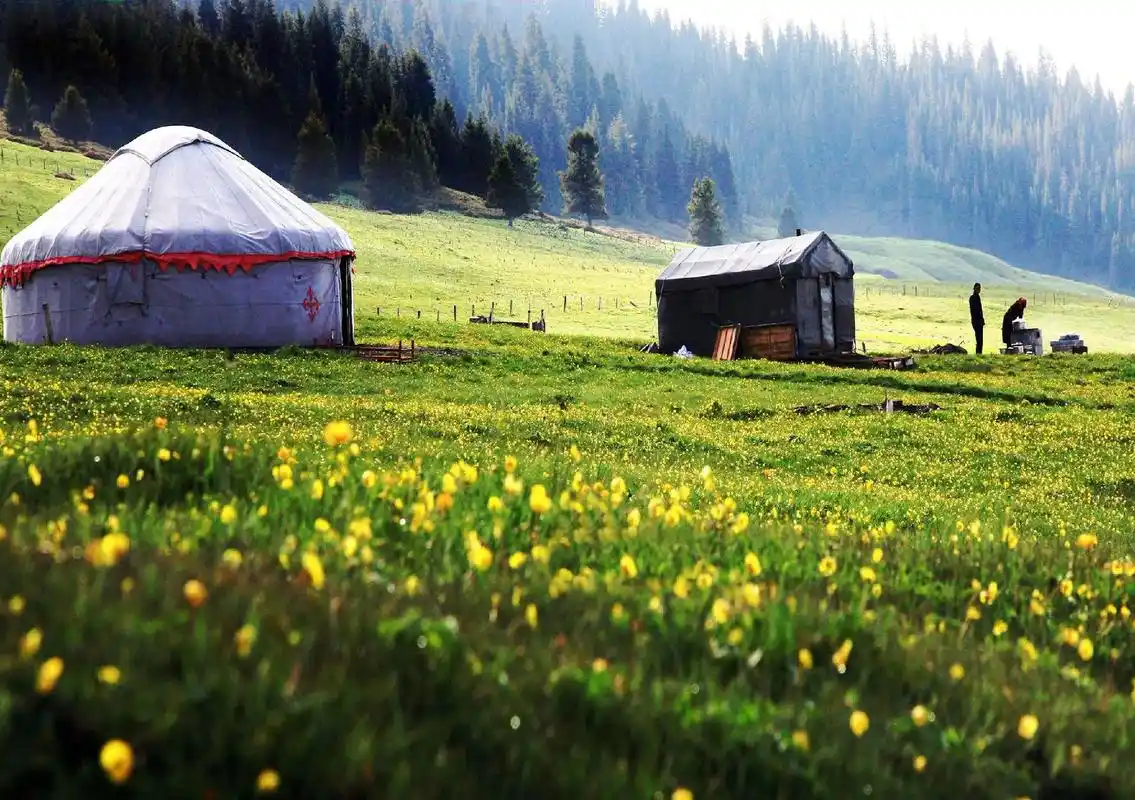 美丽的草原我的家.美丽的新疆风景如画!美丽的草原我旳家!多年 - 抖音