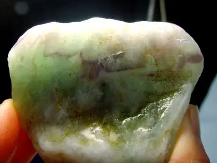 这些个东西很漂亮是什么我不知道请教各位兰友