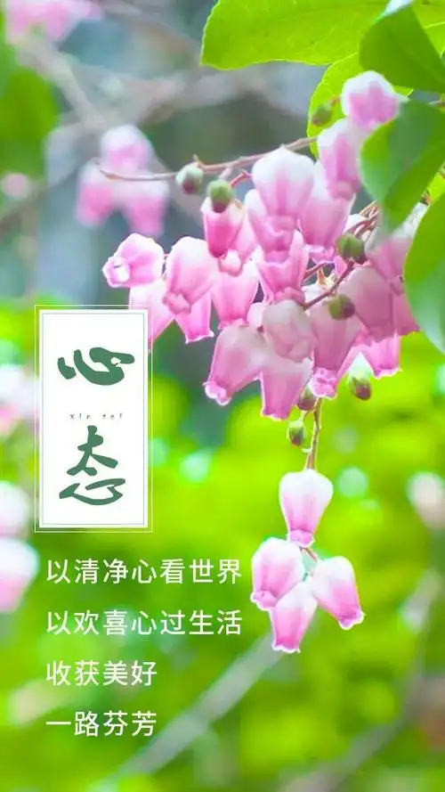 以平和的心态看待万物,以积极的心态对待生活,幸福就无处不在.