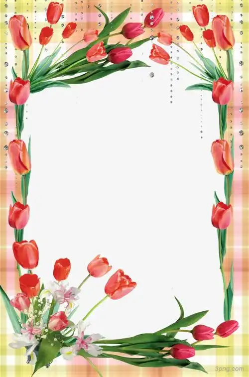 花样相框png素材透明免抠图片-装饰效果