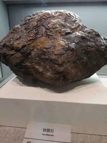 参观地质博物馆