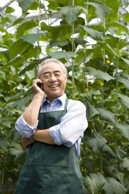 东方人,老年人,一个人,菜园,农田,农场,笑,打电话,微笑,露齿笑,竖图