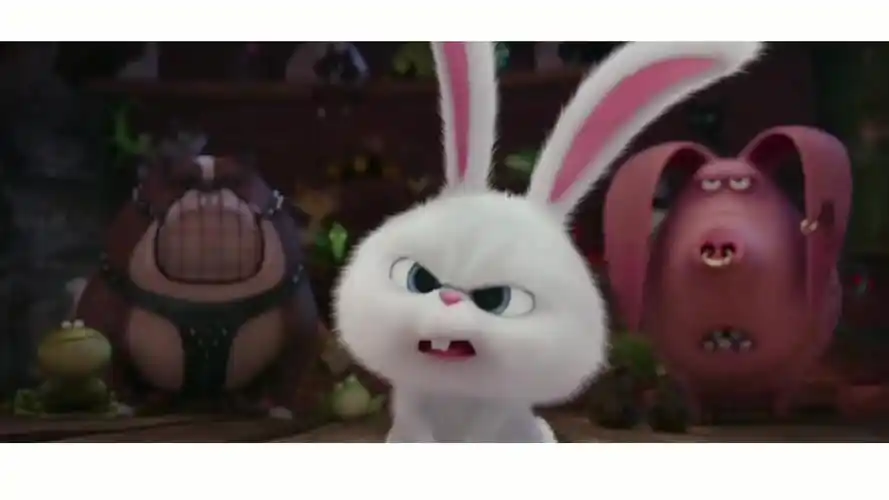 爱宠大机密第一季兔子