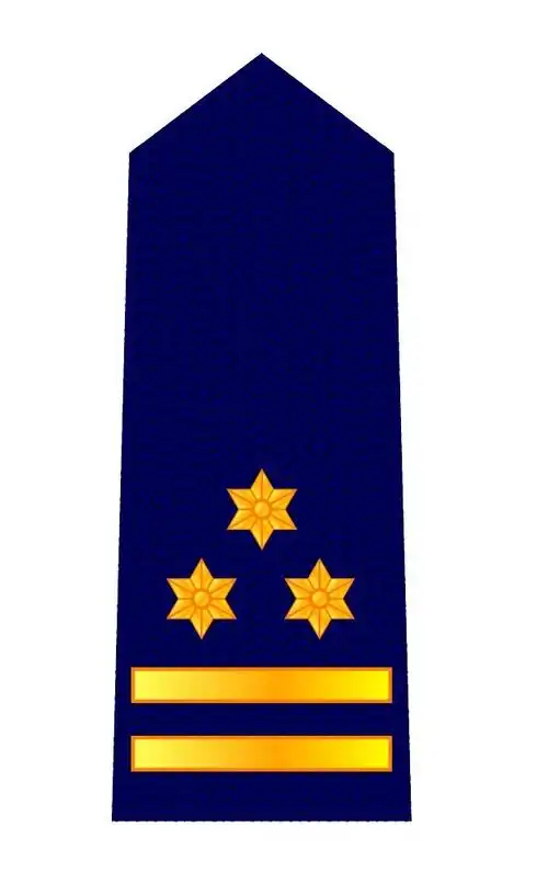 绘画讲知识第4期一起来看看消防救援衔