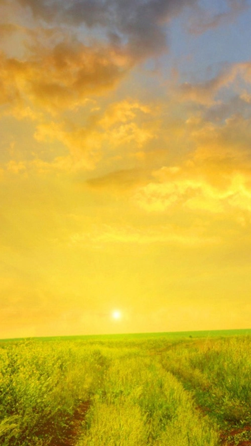 风景蓝天黄云绿草h5背景素材