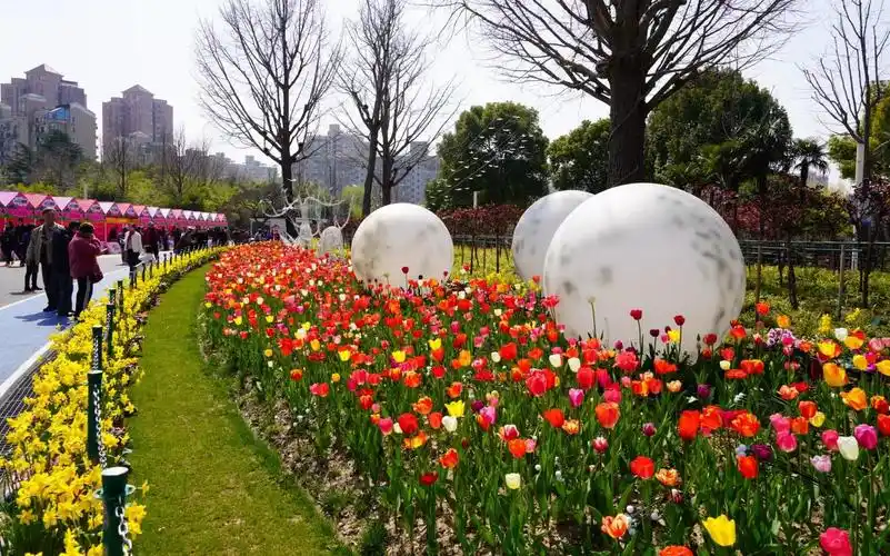 大宁公园 (2).jpg