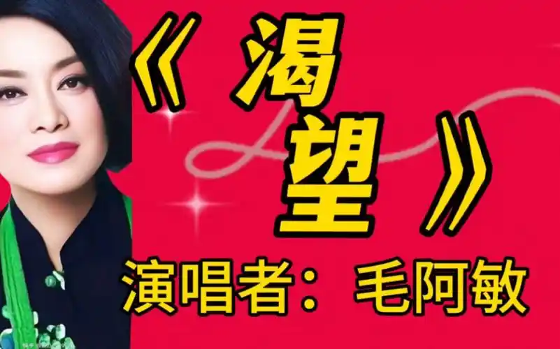 毛阿敏原唱一首经典老歌《渴望》感人的歌曲,唱尽人生的辛酸