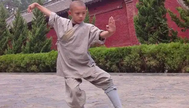 从少林寺走出的5位明星,有人五岁成名,有人糊了,还有1位是女|吴京