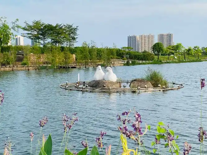 阳江·金山植物公园,鸳鸯湖