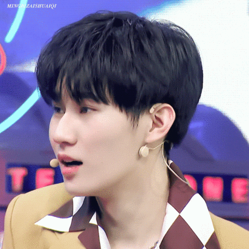 回应: 张真源小熊猫塑(5.31更新)