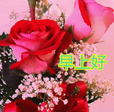 早上好朋友,最新版漂亮早上好图片动态带字,最美早安问候语动态图片