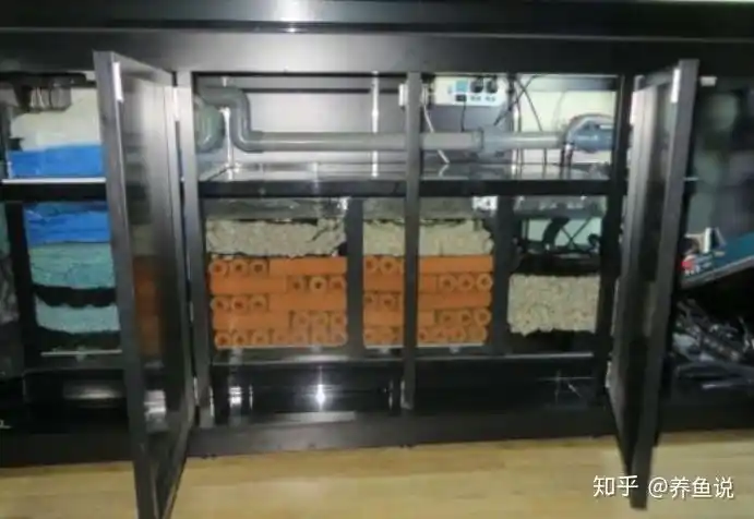 鱼缸里的滤材摆放顺序你摆正确了吗有无按照这科学的顺序摆放