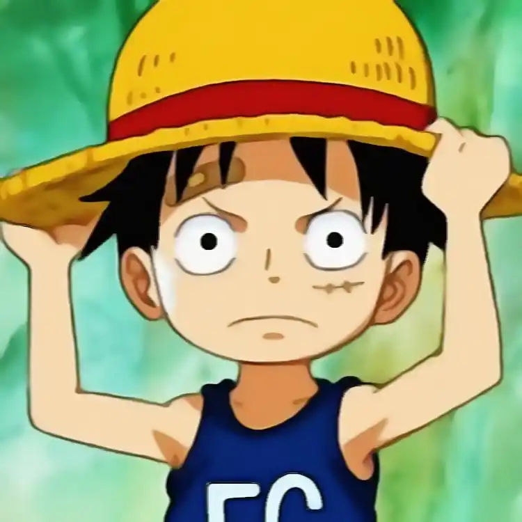 「第4期」动漫男头:海贼王 路飞小时候头像