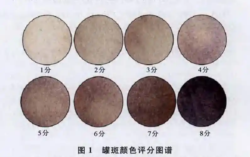 疲劳不适很多人的选择就是去拔个火罐拔完之后一身轻松不过拔罐其实有