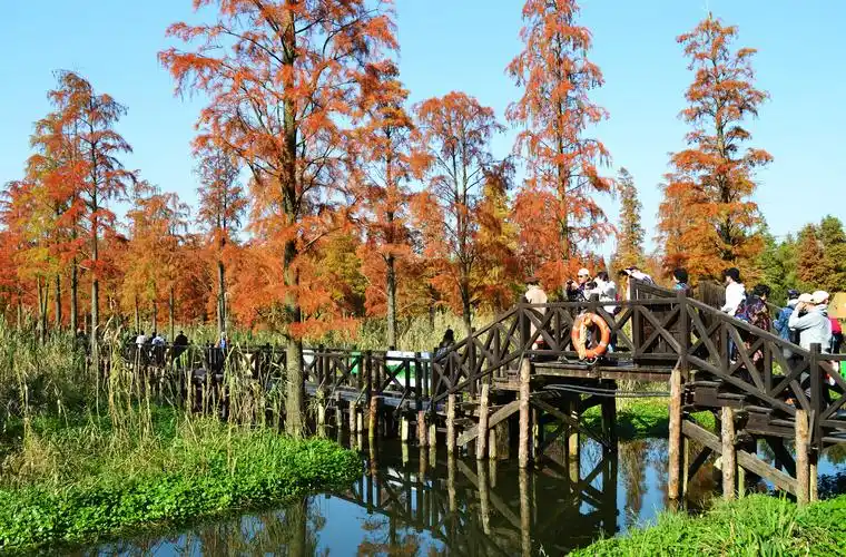 上海青西郊野公园