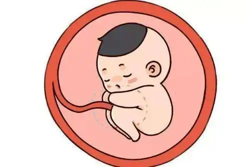 孕期胎儿脑部发育所需的营养是什么?90%孕妈不知如何让宝宝更聪明