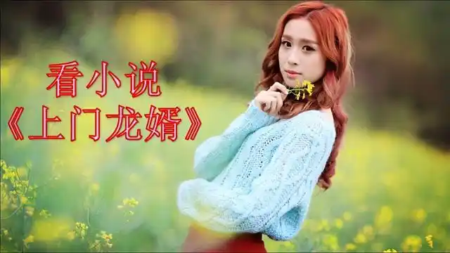 上门龙婿叶辰萧初然正版免费看全本