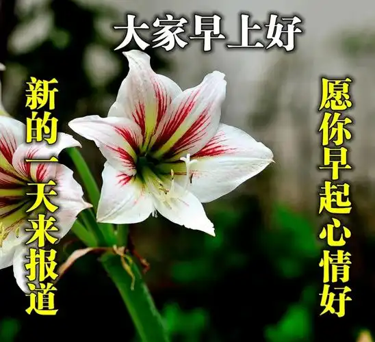 原创2021年早上好精选祝福词语带字图片新的一天早安