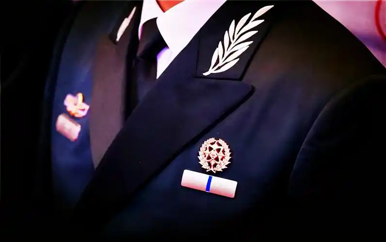 文职人员的肩章与军队军官的最大区别就是缀的符号不同,如下图文职