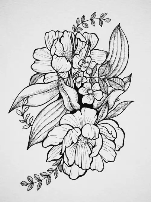 线描素材|一支笔可以完成的花卉装饰画