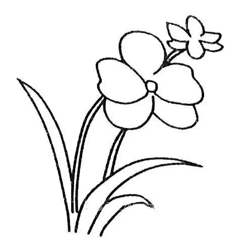 兰花简笔画教程_简笔画_ps家园网