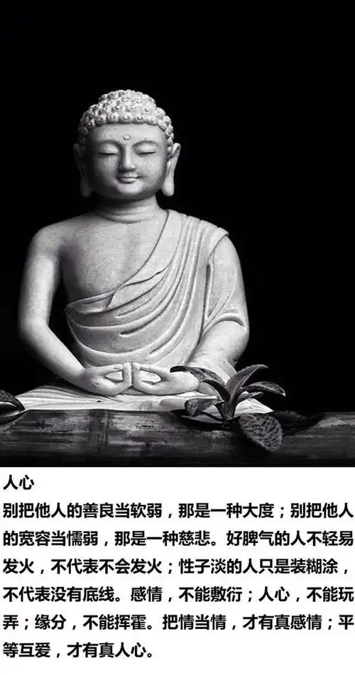 佛说—人生需要智慧,只有懂得才能获得