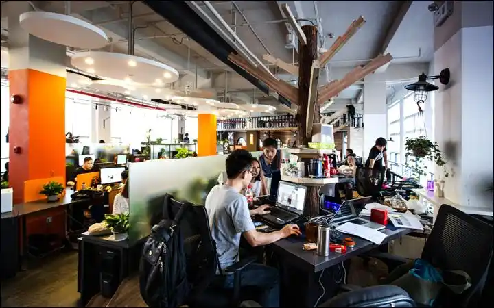 office show: 阳狮脉达网帆上海新办公室_it新闻_博客园