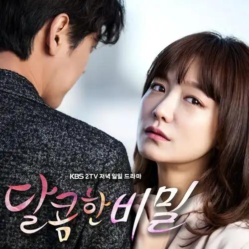 《甜蜜的秘密》是韩国kbs电视台于2014年11月11日起播出的日日家庭剧