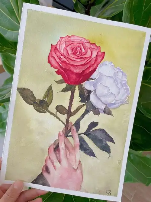 520#洛阳白牡丹|重庆红玫瑰