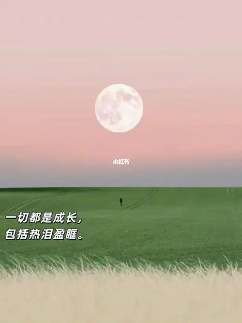 9句让你突然长大的戳心文案