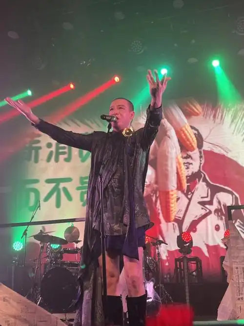 牛逼!#二手玫瑰  #二手玫瑰梁龙  #live