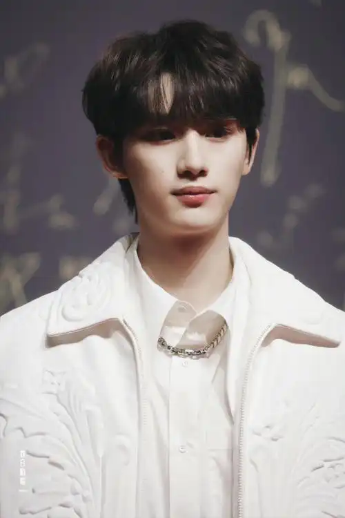 丁程鑫微博音乐盛典生图 好精致的一张脸……__财经头条