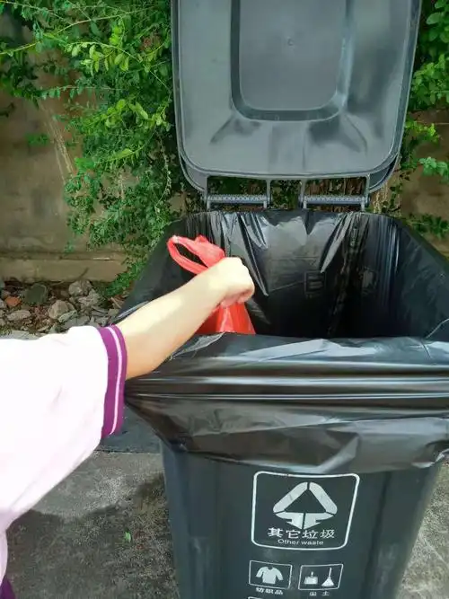 其它 衢州有礼,文明小少年 写美篇看见有垃圾捡起扔垃圾箱