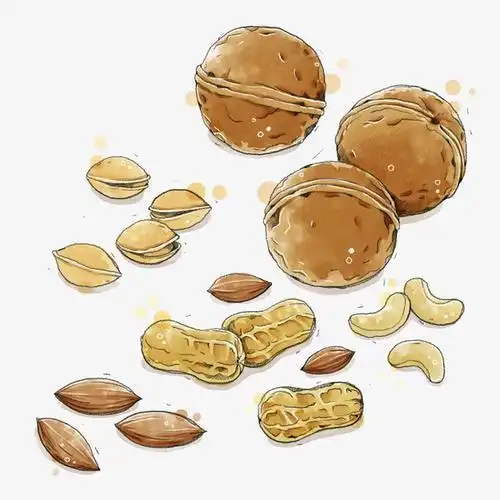 坚果动漫简笔画