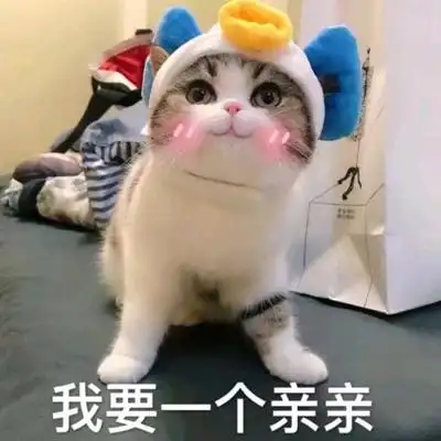 微信带字的小猫咪卖萌表情包 微信中必备的表情包