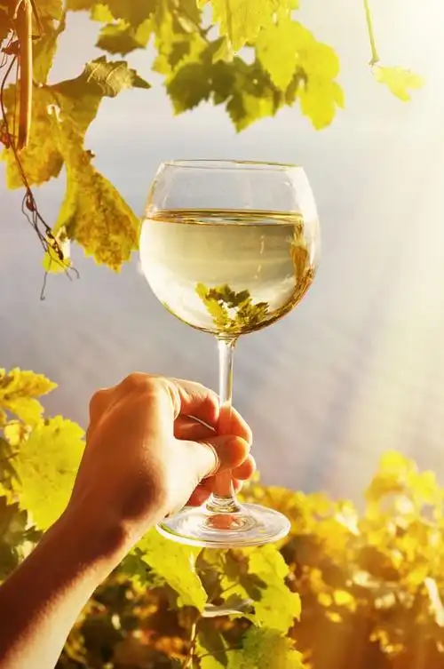 举着葡萄酒杯的手图片